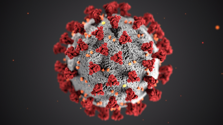 Corona Virus Kroatien