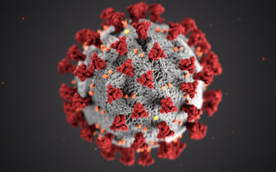 Corona Virus Kroatien