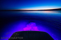 motorboot-bavaria-S33-ht-marina-punat-korocharter-23